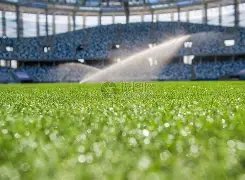 小安娃与施,耐德携手赢,取迈阿密女,新葡京,新葡京app,新葡京娱乐,新普京赌场