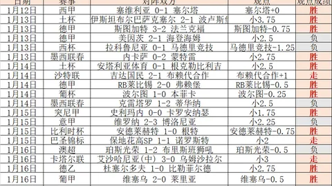 维斯塔潘连续四年问鼎F1世界冠军，红牛车队再创辉煌。