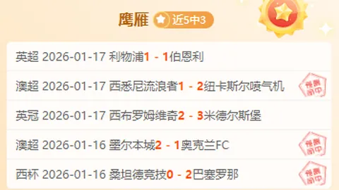 2025年盐城龙舟盛事盛大开启